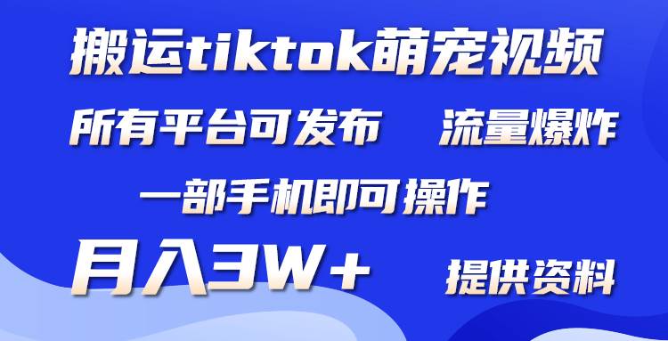 搬运Tiktok萌宠类视频，一部手机即可。所有短视频平台均可操作，月入3W+-南风轻创
