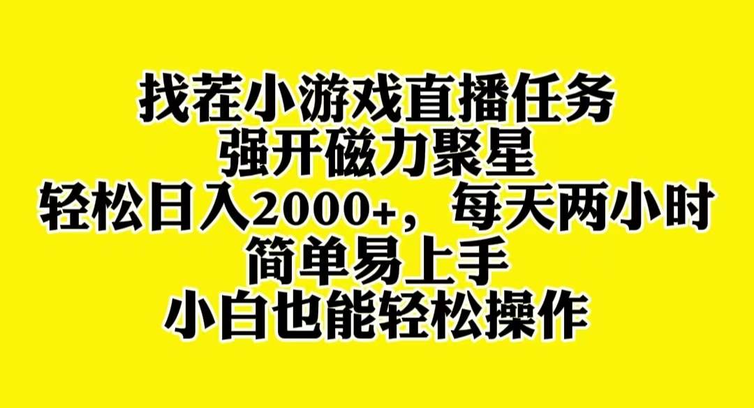 找茬小游戏直播，强开磁力聚星，轻松日入2000+，小白也能轻松上手-南风轻创