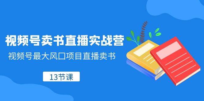 视频号-卖书直播实战营，视频号最大风囗项目直播卖书（13节课）-南风轻创