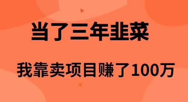 当了3年韭菜，我靠卖项目赚了100万-南风轻创