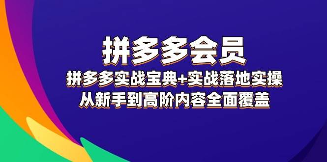 拼多多 会员，拼多多实战宝典+实战落地实操，从新手到高阶内容全面覆盖-南风轻创