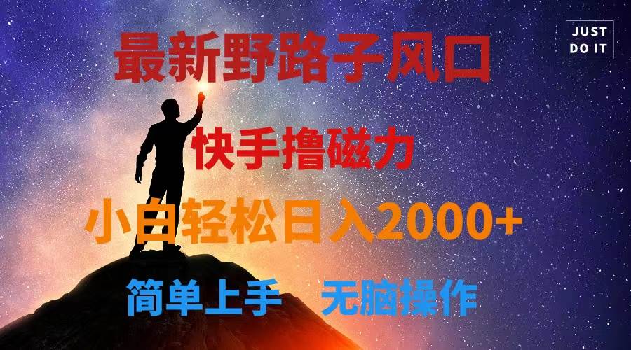 最新风口！快手撸磁力，野路子，小白无脑操作日入2000+-南风轻创