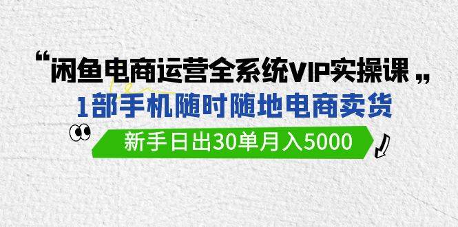 闲鱼电商运营全系统VIP实战课，1部手机随时随地卖货，新手日出30单月入5000-南风轻创