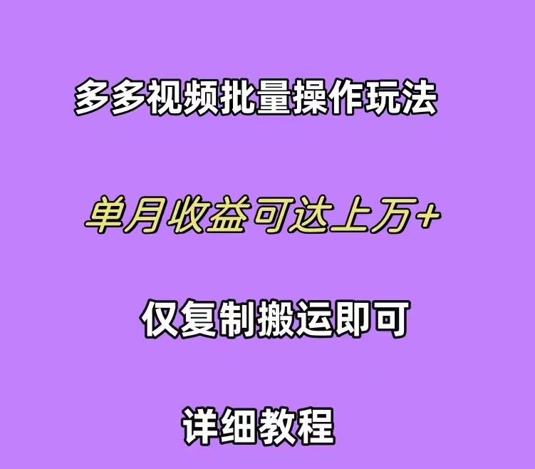 拼多多视频带货快速过爆款选品教程 每天轻轻松松赚取三位数佣金 小白必…-南风轻创