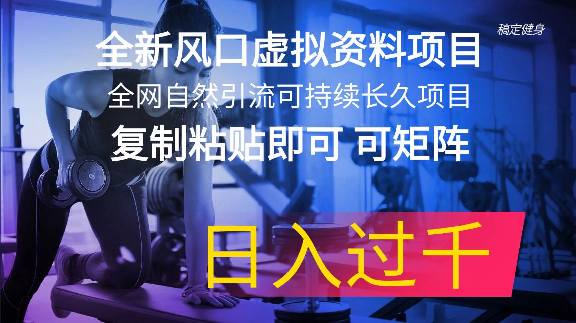 全新风口虚拟资料项目 全网自然引流可持续长久项目 复制粘贴即可可矩阵…-南风轻创