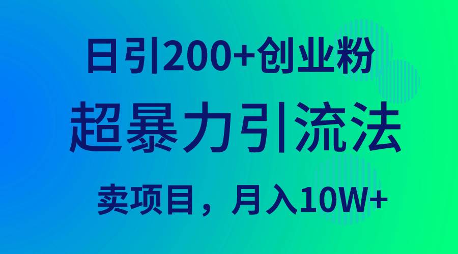 超暴力引流法，日引200+创业粉，卖项目月入10W+-南风轻创