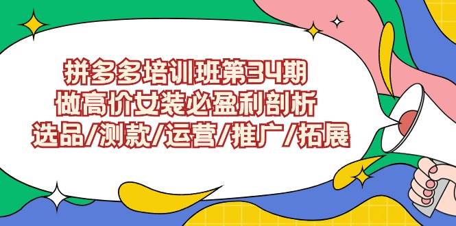 拼多多培训班第34期：做高价女装必盈利剖析  选品/测款/运营/推广/拓展-南风轻创