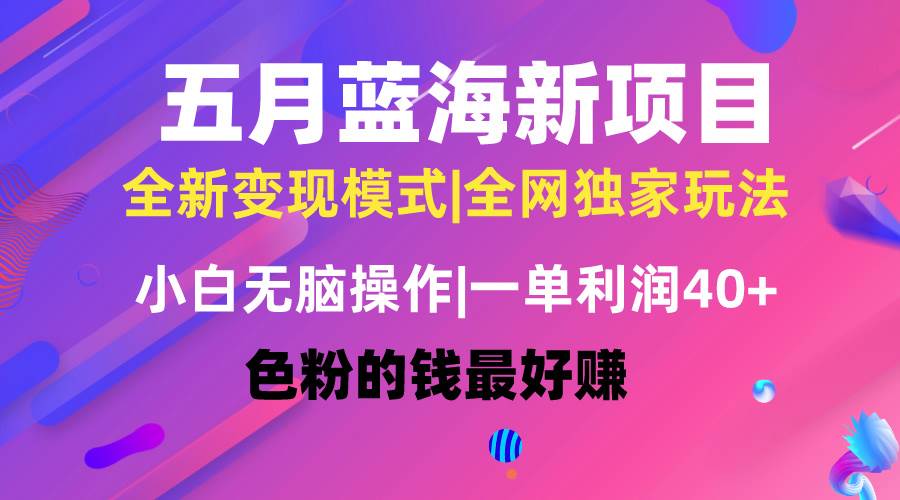 五月蓝海项目全新玩法，小白无脑操作，一天几分钟，矩阵操作，月入4万+-南风轻创