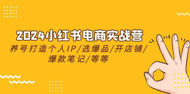 2024小红书电商实战营，养号打造IP/选爆品/开店铺/爆款笔记/等等（24节）-南风轻创