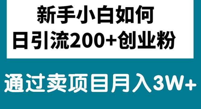 新手小白日引流200+创业粉,通过卖项目月入3W+-南风轻创