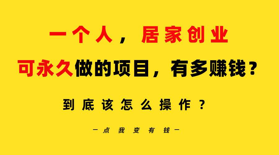 一个人，居家创业：B站每天10分钟，单账号日引创业粉100+，月稳定变现5W…-南风轻创