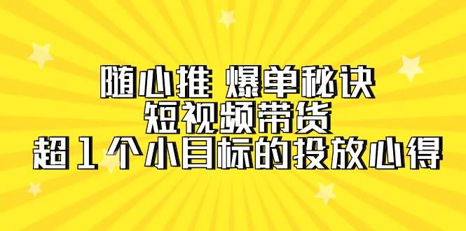 随心推 爆单秘诀，短视频带货-超1个小目标的投放心得（7节视频课）-南风轻创