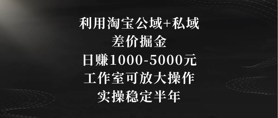 利用淘宝公域+私域差价掘金，日赚1000-5000元，工作室可放大操作，实操…-南风轻创