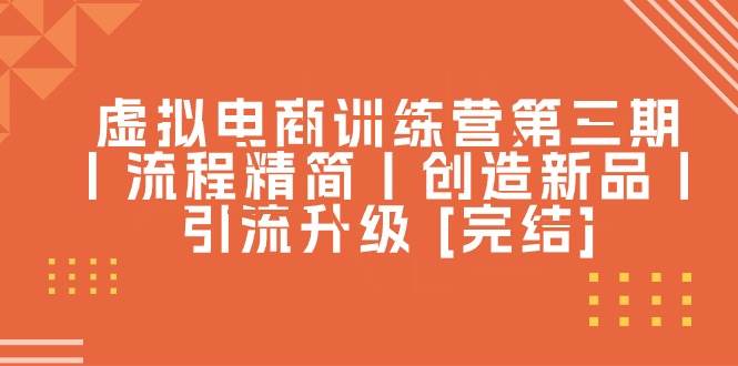 虚拟电商训练营第三期丨流程精简丨创造新品丨引流升级 [完结]-南风轻创