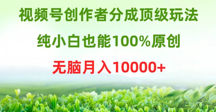 视频号创作者分成顶级玩法，纯小白也能100%原创，无脑月入10000+-南风轻创