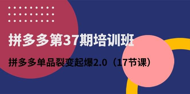 拼多多第37期培训班：拼多多单品裂变起爆2.0（17节课）-南风轻创