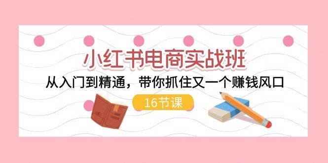 小红书电商实战班，从入门到精通，带你抓住又一个赚钱风口（16节）-南风轻创