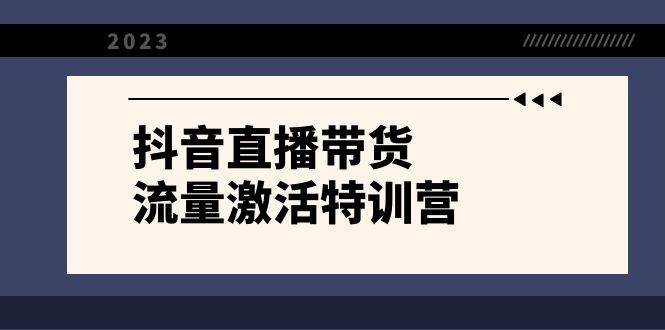 抖音直播带货-流量激活特训营，入行新手小白主播必学（21节课+资料）-南风轻创