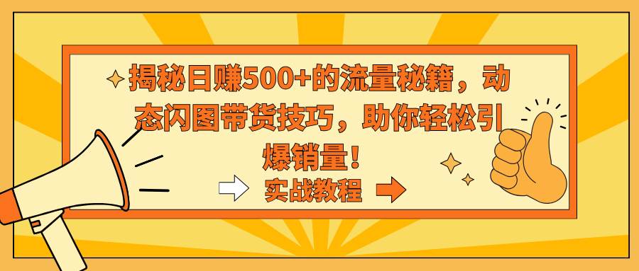 揭秘日赚500+的流量秘籍，动态闪图带货技巧，助你轻松引爆销量！-南风轻创