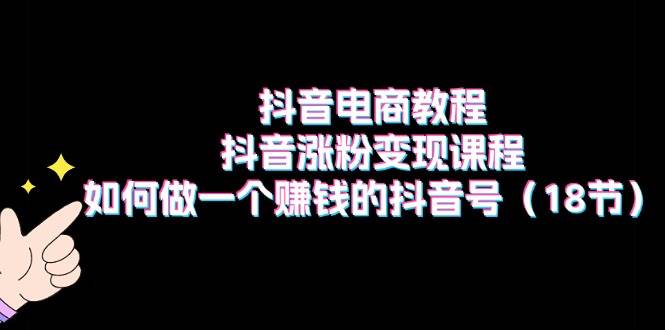 抖音电商教程：抖音涨粉变现课程：如何做一个赚钱的抖音号（18节）-南风轻创