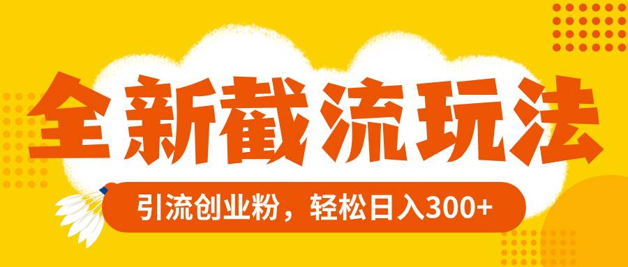 全新截流玩法，精准引流创业粉，轻松日入300+-南风轻创