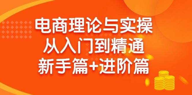 电商理论与实操从入门到精通 新手篇+进阶篇-南风轻创
