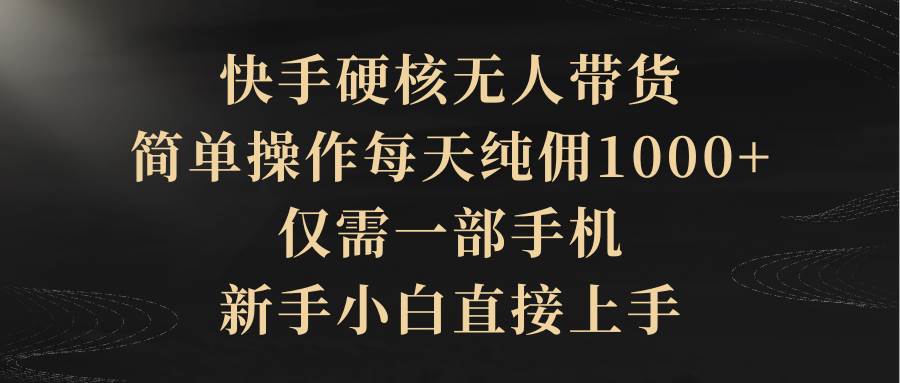 快手硬核无人带货，简单操作每天纯佣1000+,仅需一部手机，新手小白直接上手-南风轻创