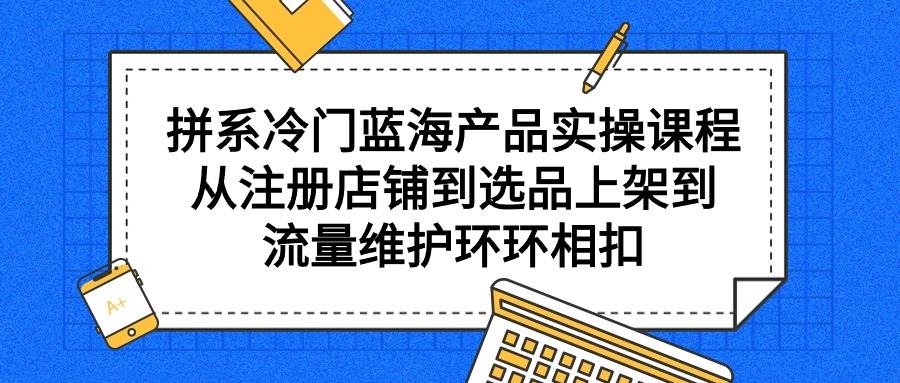 拼系冷门蓝海产品实操课程，从注册店铺到选品上架到流量维护环环相扣-南风轻创