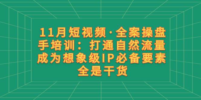 11月短视频·全案操盘手培训：打通自然流量 成为想象级IP必备要素 全是干货-南风轻创
