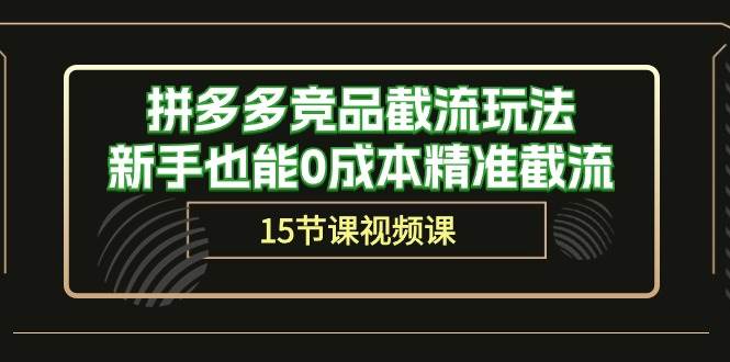 拼多多竞品截流玩法，新手也能0成本精准截流（15节课）-南风轻创