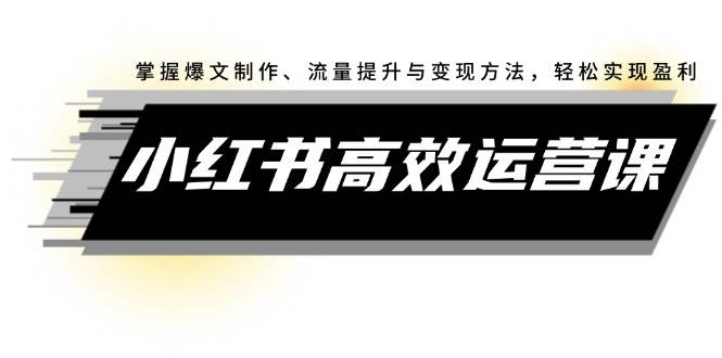 小红书高效运营课：掌握爆文制作、流量提升与变现方法，轻松实现盈利-南风轻创