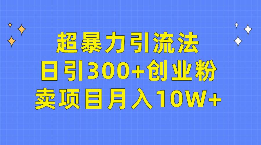 超暴力引流法，日引300+创业粉，卖项目月入10W+-南风轻创