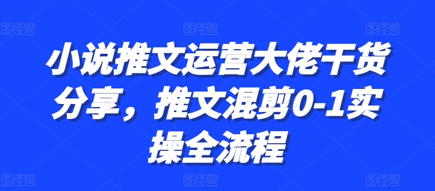 小说推文运营大佬干货分享，推文混剪0-1实操全流程-南风轻创