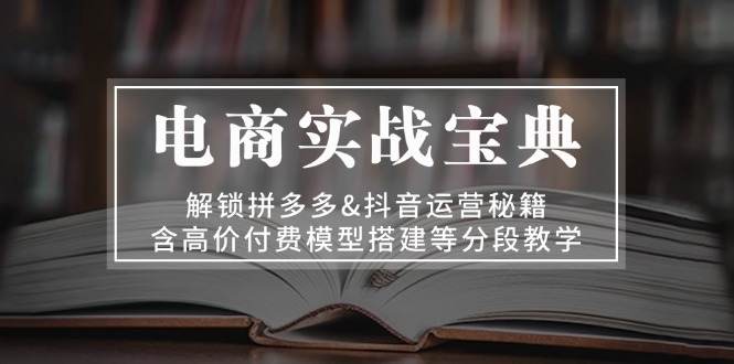 电商实战宝典 解锁拼多多&抖音运营秘籍 含高价付费模型搭建等分段教学-南风轻创