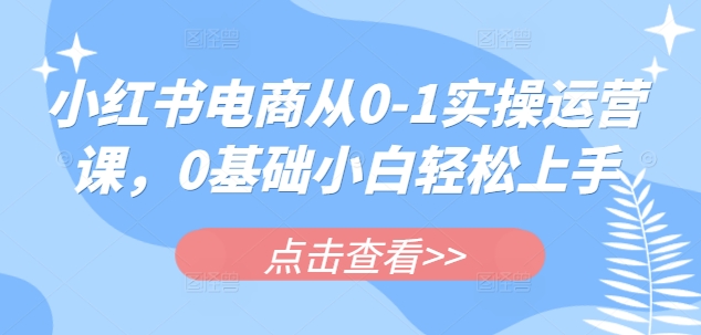 小红书电商从0-1实操运营课，0基础小白轻松上手-南风轻创