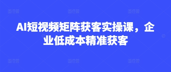 AI短视频矩阵获客实操课，企业低成本精准获客-南风轻创