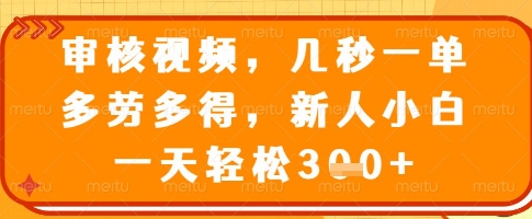 审核视频，几秒一单，多劳多得，新人小白一天轻松3张【揭秘】-南风轻创