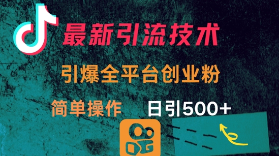 最新引流方法，引爆全平台的一个创业粉，简单操作日引300+-南风轻创