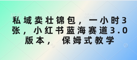 私域卖壮锦包，一小时3张，小红书蓝海赛道3.0版本， 保姆式教学-南风轻创