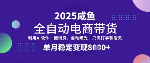 全网首发【闲鱼全自动电商带货】三年磨一剑，一朝露锋芒，单月稳定变现8k+【揭秘】-南风轻创