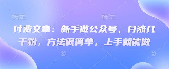 付费文章：新手做公众号，月涨几干粉，方法很简单，上手就能做-南风轻创