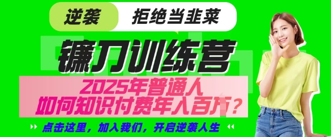 【网创项目终点站-镰刀训练营超级IP合伙人】25年普通人如何通过知识付费实现逆袭【揭秘】-南风轻创
