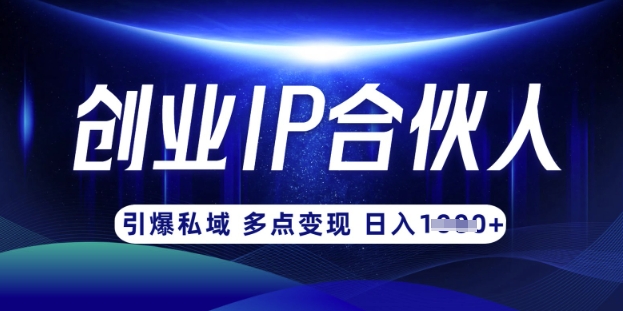 云帆·创业ip合伙人打造3.0，从0到1教你做网创，实现月入过W-南风轻创