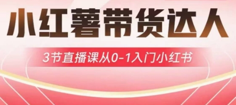 小红薯达人带货启航计划，3节直播课从0-1入门小红书-南风轻创