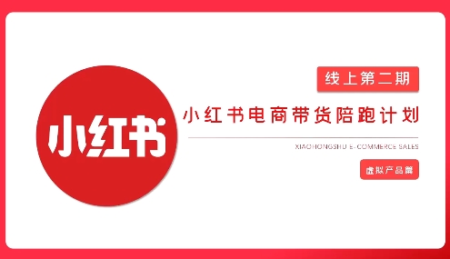 2025小红书虚拟电商实战课，从0到1打造无货源店铺，AI+爆款笔记轻松变现-南风轻创