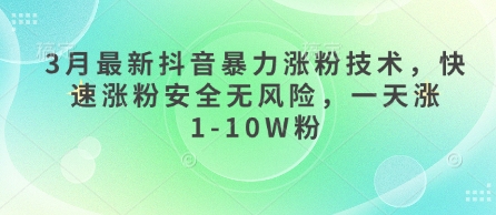3月最新抖音暴力涨粉技术，快速涨粉安全无风险，一天涨1-10W粉-南风轻创