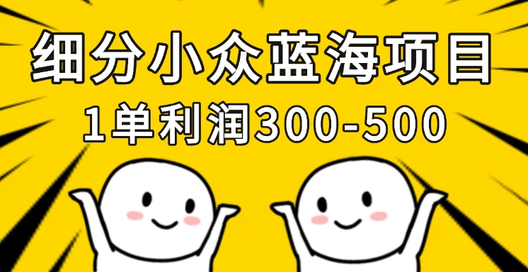 细分小众蓝海项目，一单利润300-500，每月收入稳定4w+-南风轻创