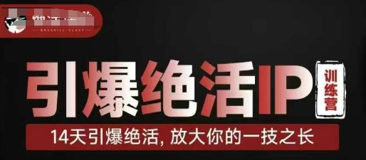 引爆绝活IP训练营，14天引爆绝活，放大你的一技之长-南风轻创