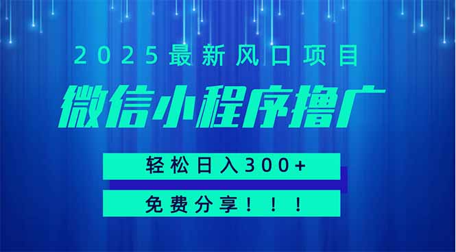 微信小程序撸广，最新风口项目，日入300+ 免费分享 可批量操作 小白可…-南风轻创