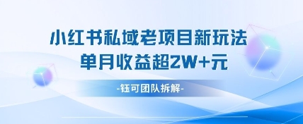 小红书私域项目新玩法，单月变现过W+-南风轻创